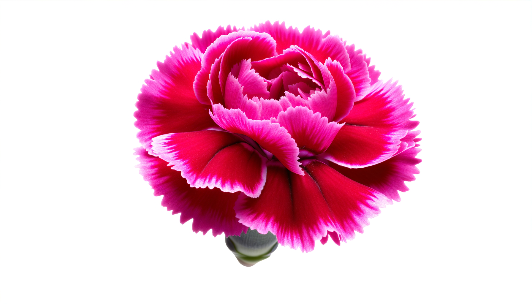 Enchanted Garden Bouquet (Teleflora® - T14M400A) FlowersEzGo.com™