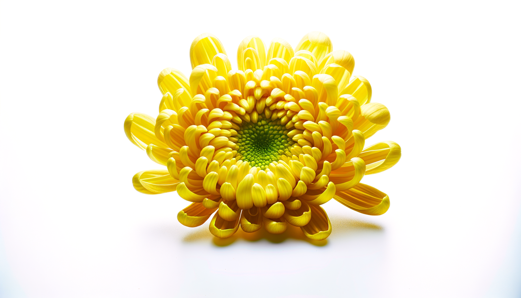 The FTD Vibrant Views Bouquet (FTD® - B3-4952) FlowersEzGo.com™