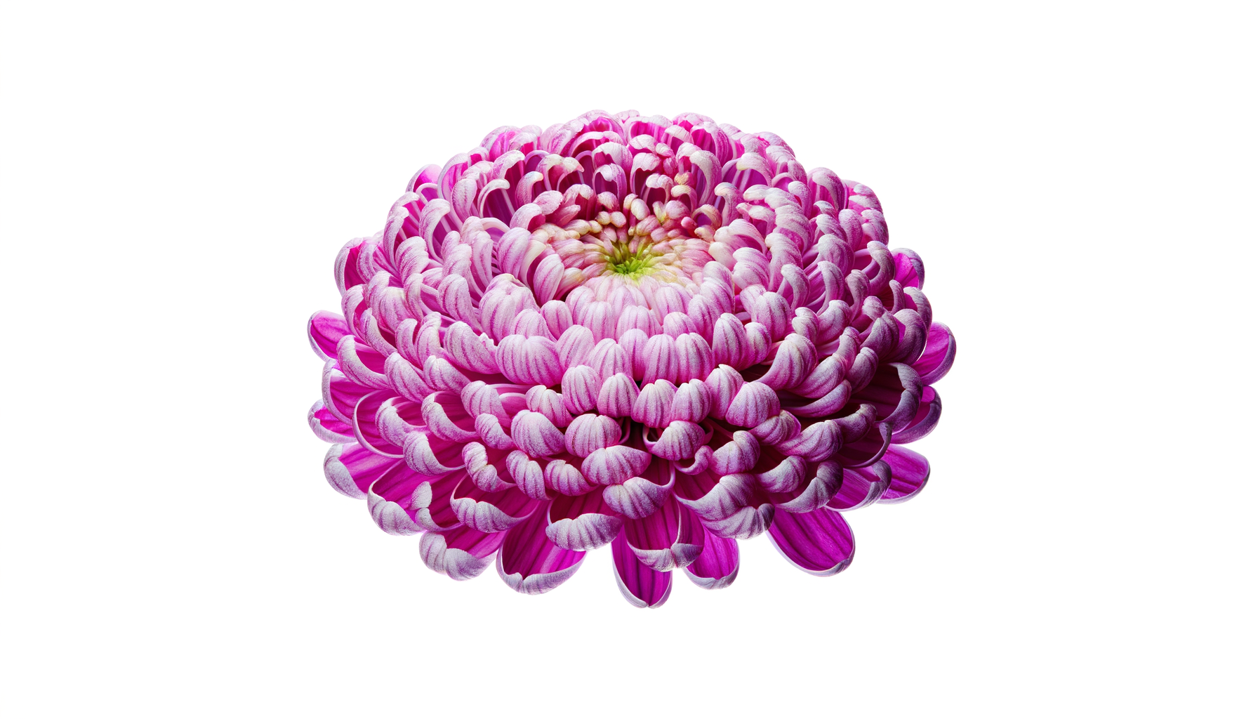 Enchanted Garden Bouquet (Teleflora® - T14M400A) FlowersEzGo.com™