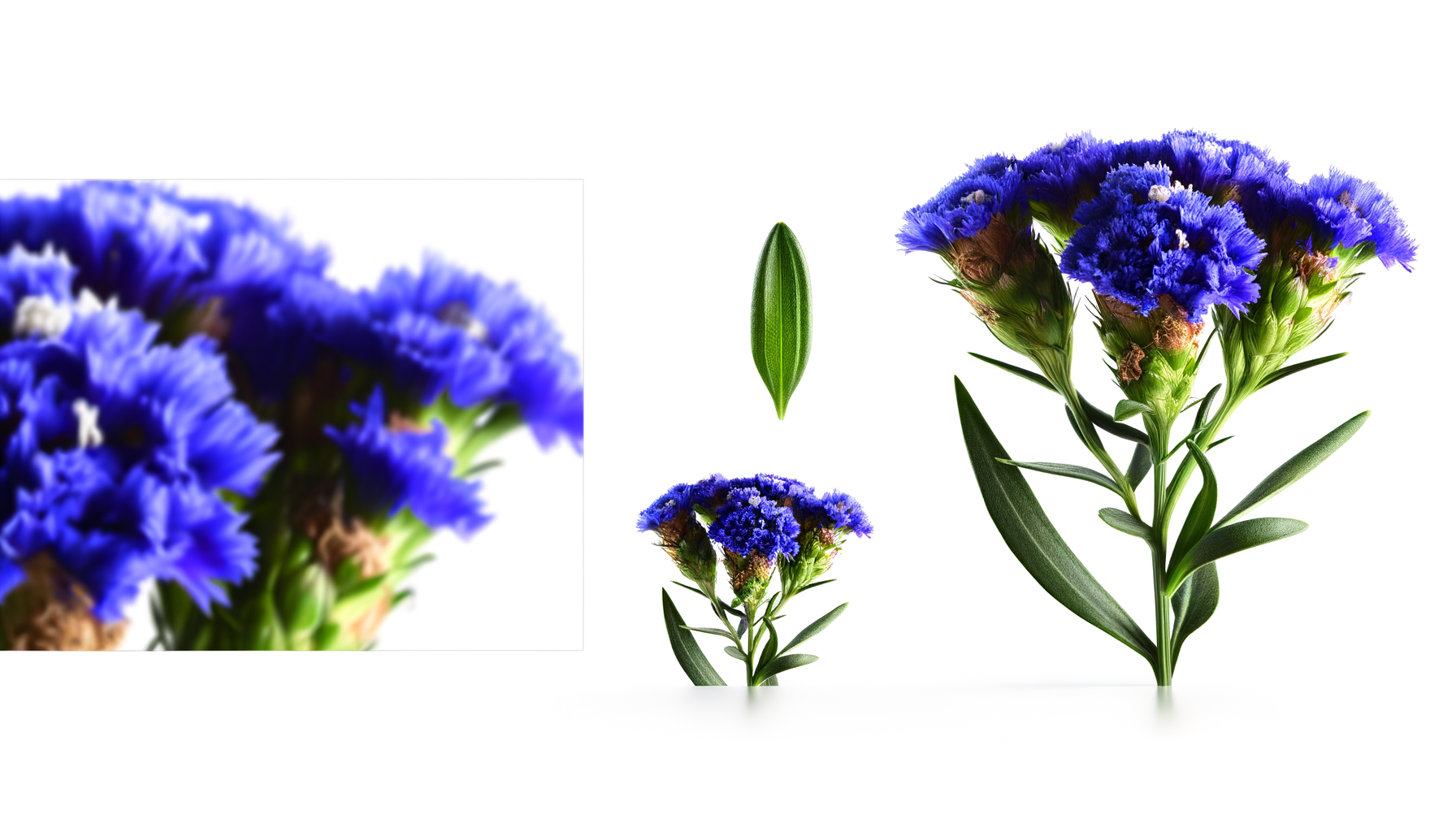 Enchanted Garden Bouquet (Teleflora® - T14M400A) FlowersEzGo.com™