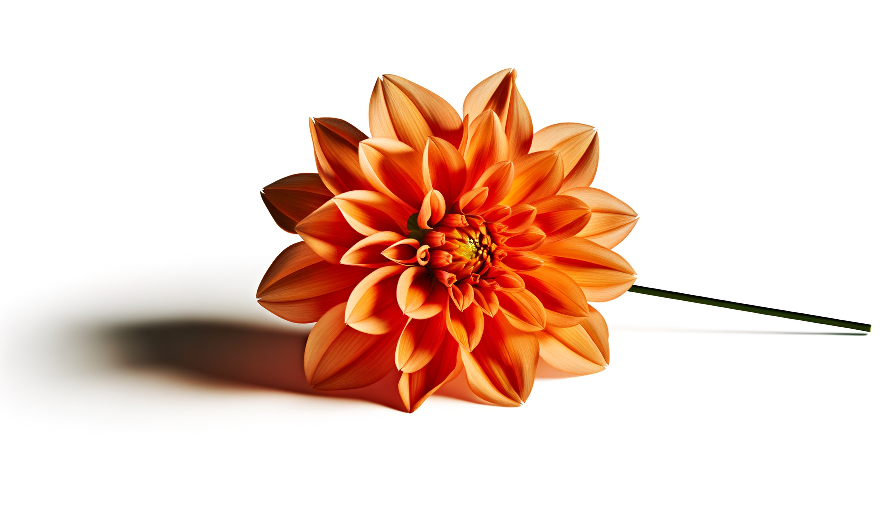 Orange Zest (Teleflora® - TF-WEB68) FlowersEzGo.com™