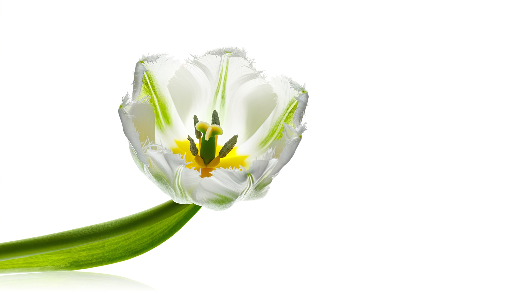 The Ressurection Casket Spray (FTD® - S21-3153) FlowersEzGo.com™