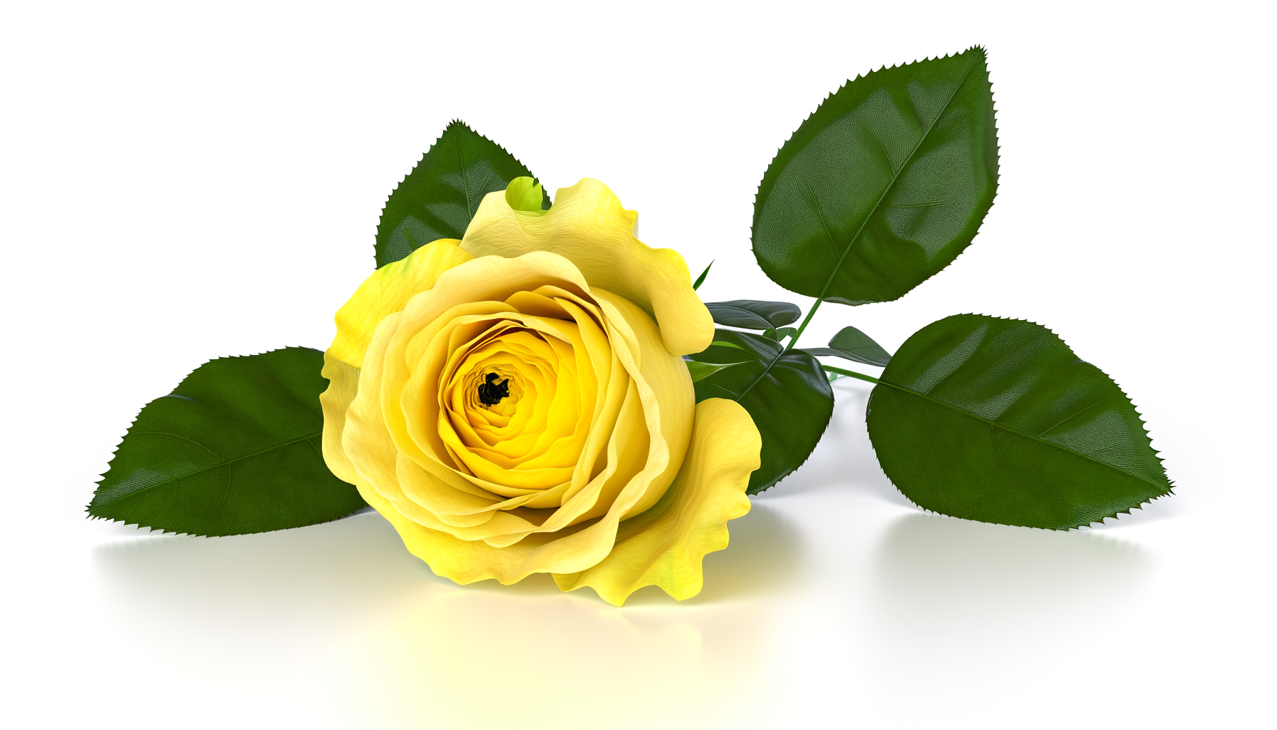 The Yellow Rose Bouquet (FTD® - N3-4307) FlowersEzGo.com™