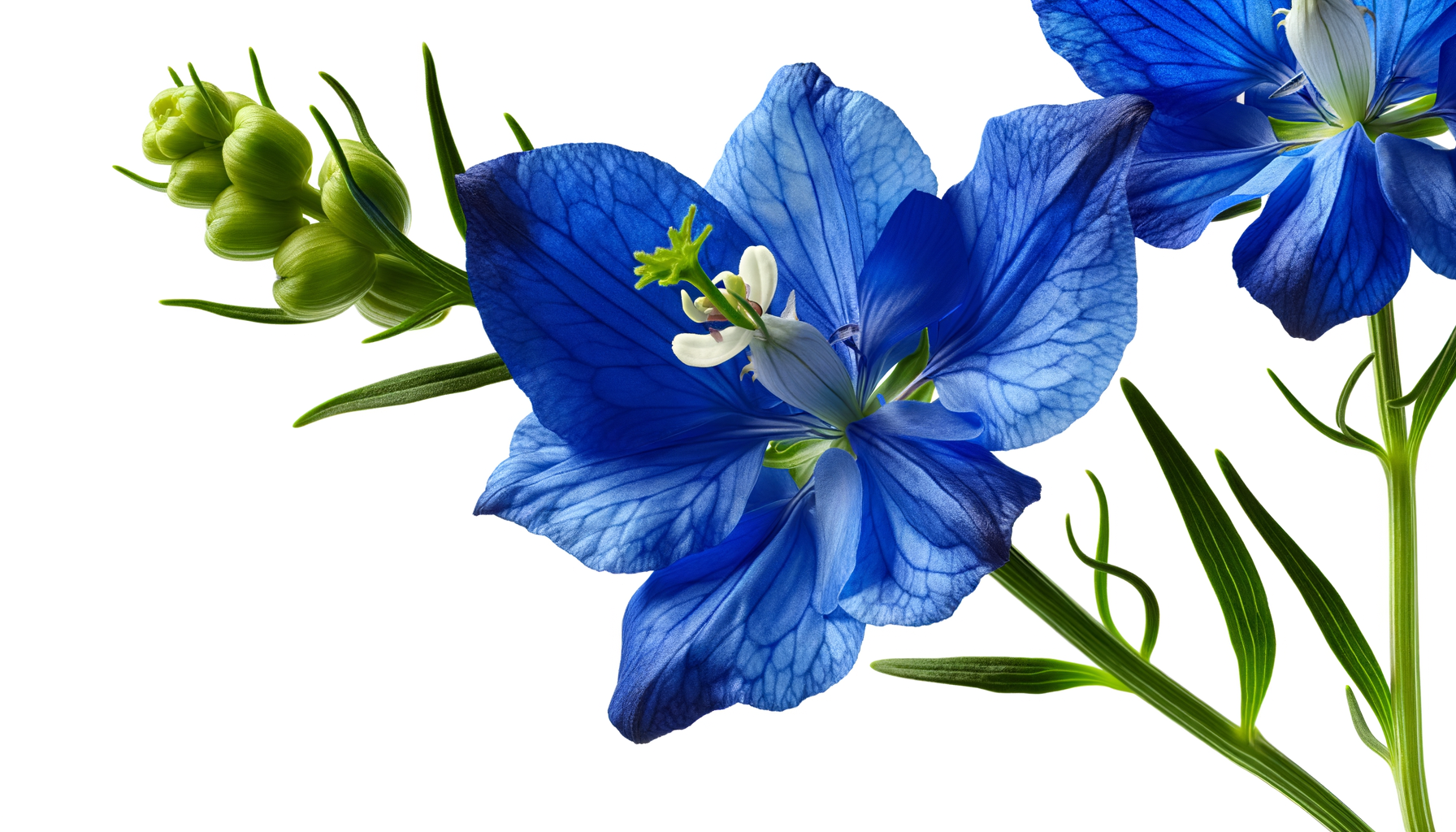 Ocean Breeze Spray (Teleflora® - T246-2A) FlowersEzGo.com™