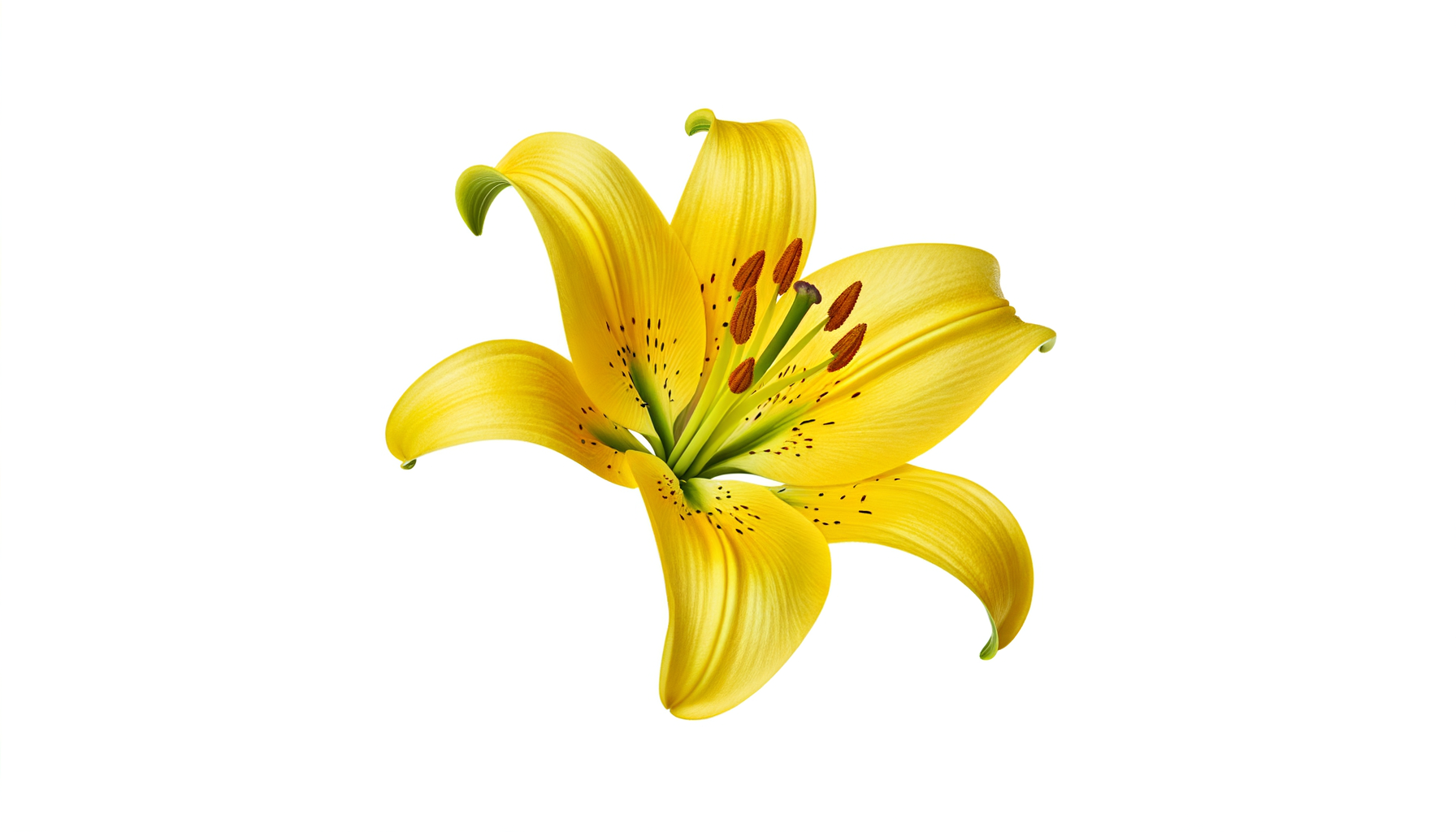The Happy Thoughts Bouquet (FTD® - B3-4921) FlowersEzGo.com™