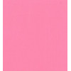 Pink Flowers