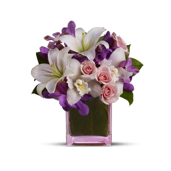 Offrez toutes vos félicitations {ville}