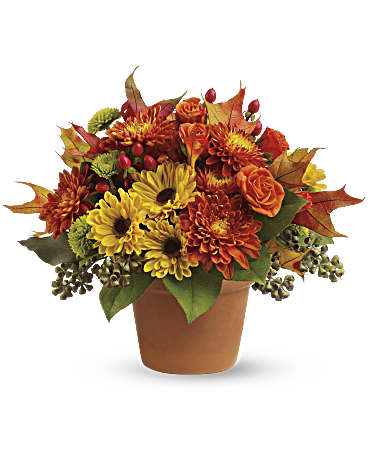 Le Bouquet Érable à Sucre