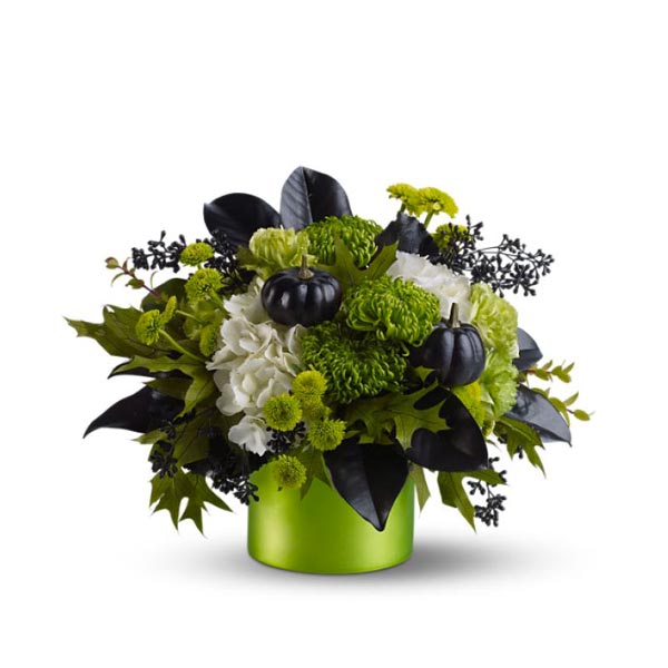 The witch bouquet