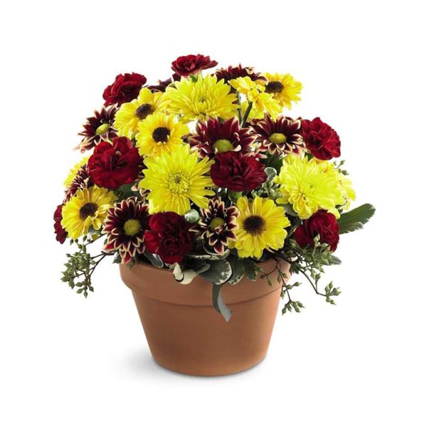 Le Bouquet Gloire d'Automne