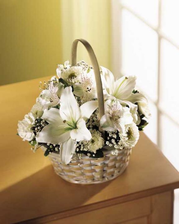 The Divinity Basket
