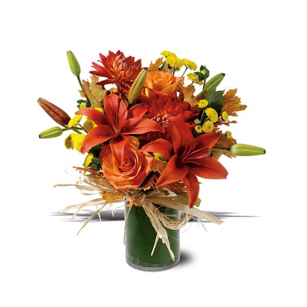 Orange Zest (Teleflora® - TF-WEB68) FlowersEzGo.com™