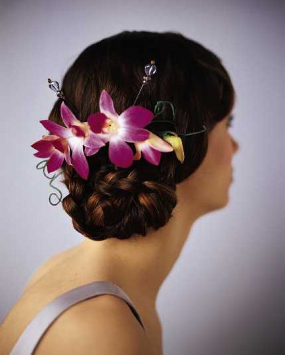 Le Casque d'Orchidée élégant