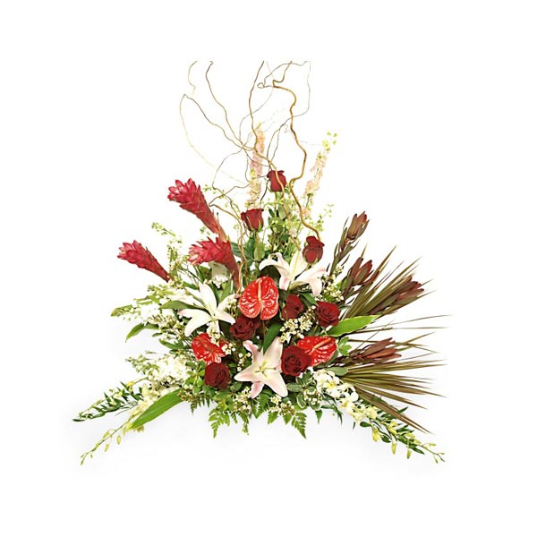 Le bouquet touche de l'équateur
