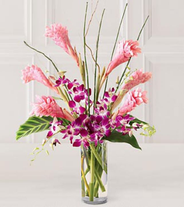 The Tropicala Arrangement