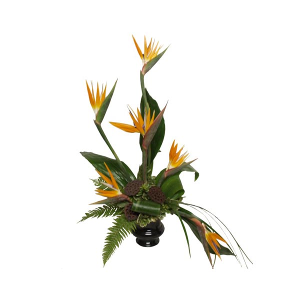 The bouquet flight of the paradise