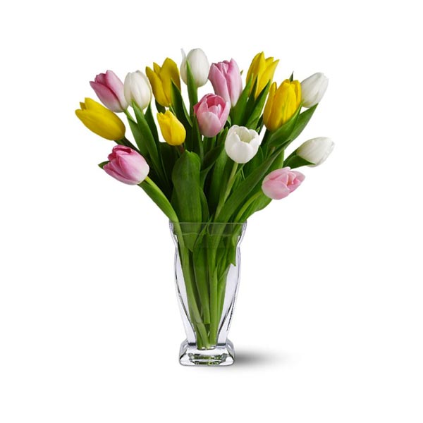Quinze tulipes mélangées
