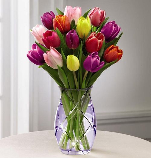 Le Bouquet de Tulipe du Jardin