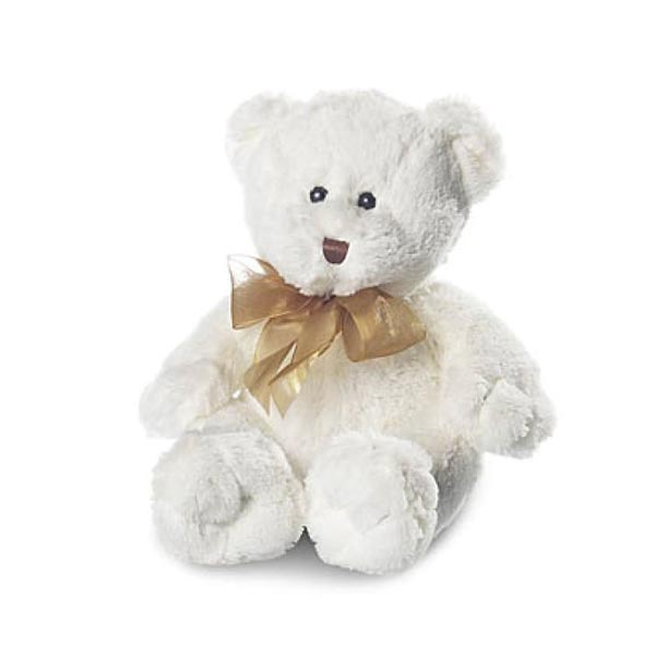 White Teddy Bear